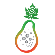 papayads.net-logo
