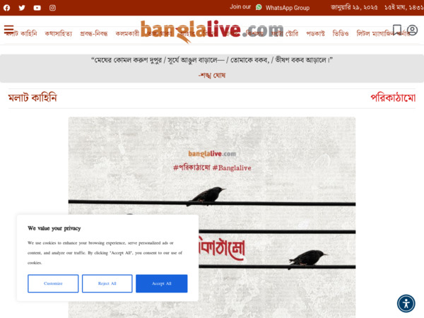 banglalive.com