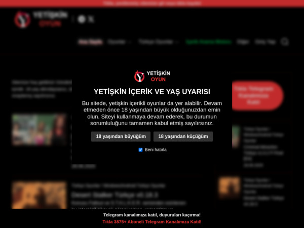 yetiskinoyun.com