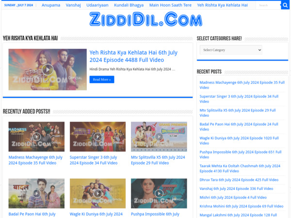 ziddidil.com